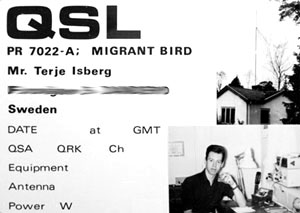 Migrant Bird, the first QSL card